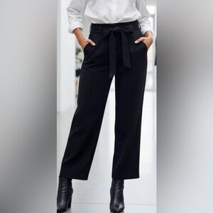 Aritzia Wilfred black ankle length pants, detachable belt,lined, side pockets 00